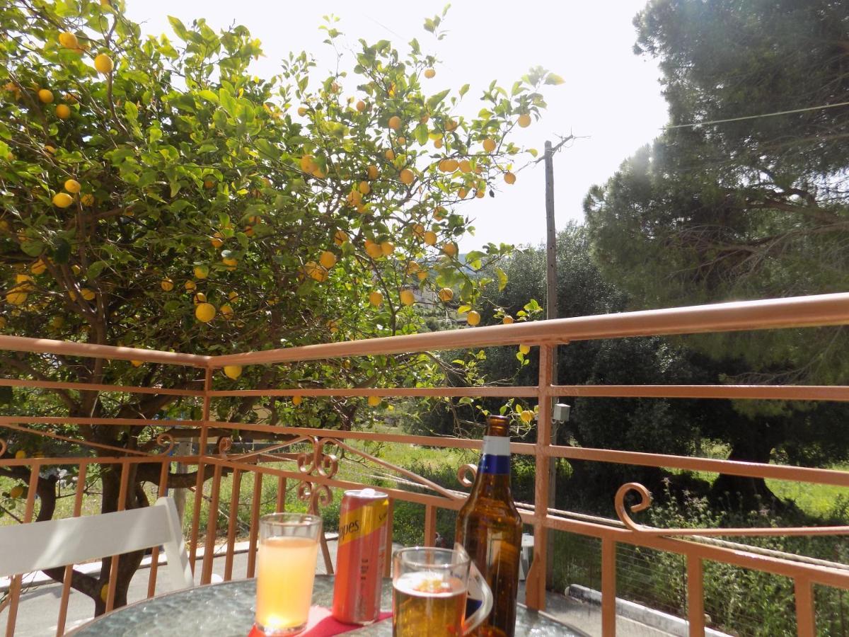 Afrodite Spacious Apartments! Agia Efimia Dış mekan fotoğraf